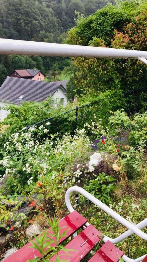 Alpen Panorama View Luxury House With Green Garden Buchs  Exterior foto